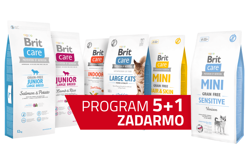 Program 5+1 zdarma